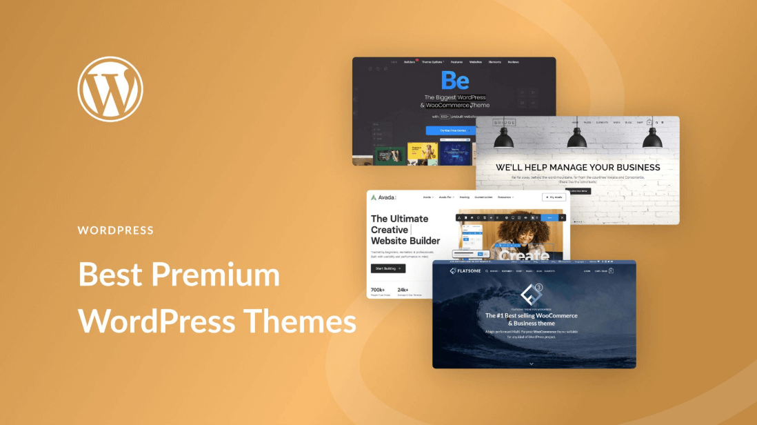 Temas WordPress